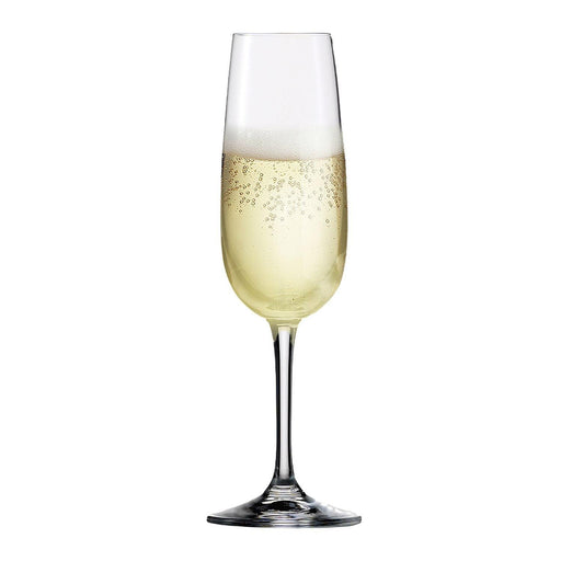 Eisch - Sensis Plus Vino Nobile Champagne Flute 7.7oz (Set of 6) - Limolin 