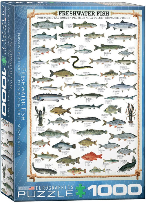Eurographics - Freshwater Fish (1000-Piece Puzzle) - Limolin 