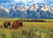 Eurographics - Grand Teton National Park Photography By Steve Hinch (1000-Piece Puzzle)