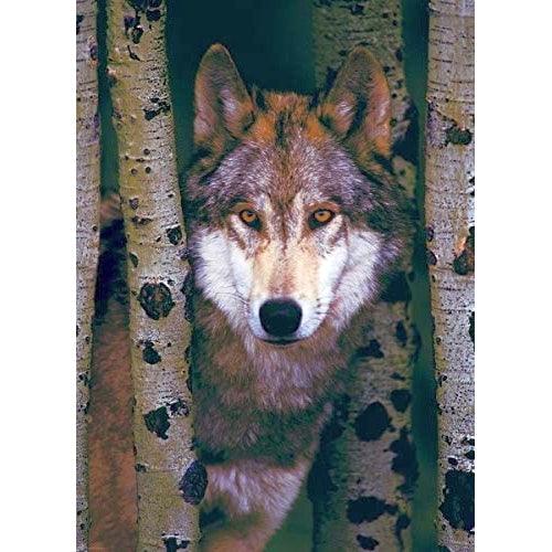 Eurographics - Gray Wolf (1000-Piece Puzzle) - Limolin 