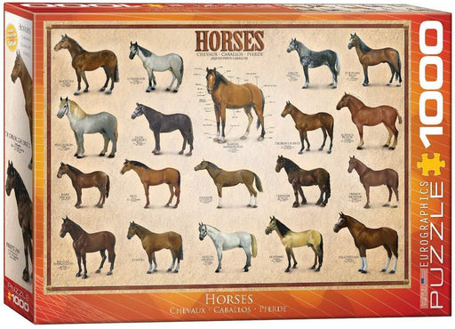 Eurographics - Horses (1000-Piece Puzzle) - Limolin 