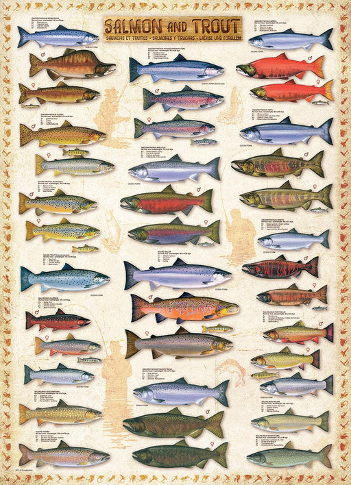 Eurographics - Salmon & Trout (1000-Piece Puzzle)