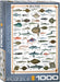 Eurographics - Sea Fish (1000-Piece Puzzle)