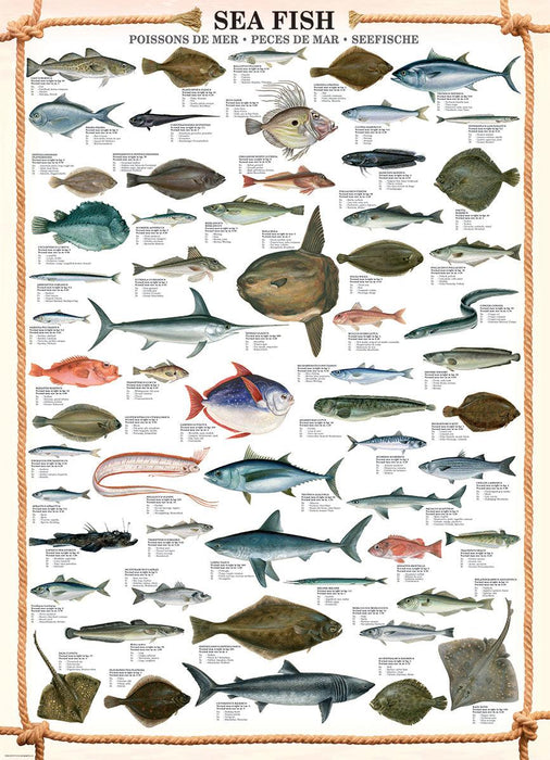 Eurographics - Sea Fish (1000-Piece Puzzle)