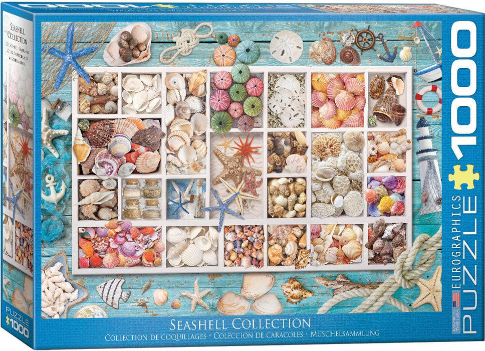 Eurographics - Seashell Collection (1000-Piece Puzzle) - Limolin 