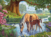 Eurographics - The Fell Ponies (1000-Piece Puzzle)