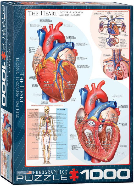 Eurographics - The Heart (1000-Piece Puzzle) - Limolin 
