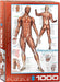 Eurographics - The Muscular System (1000-Piece Puzzle)