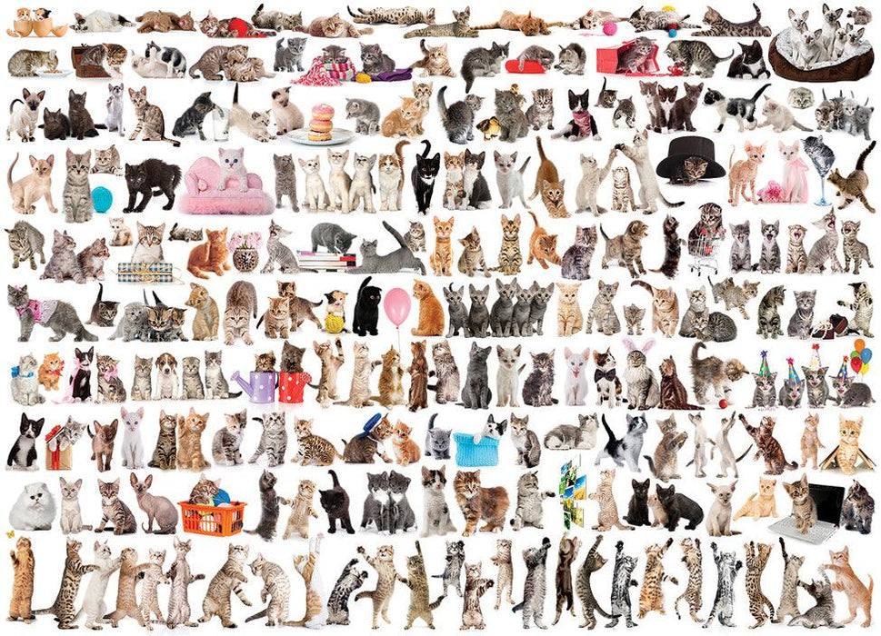 Eurographics - The World Of Cats (1000-Piece Puzzle)