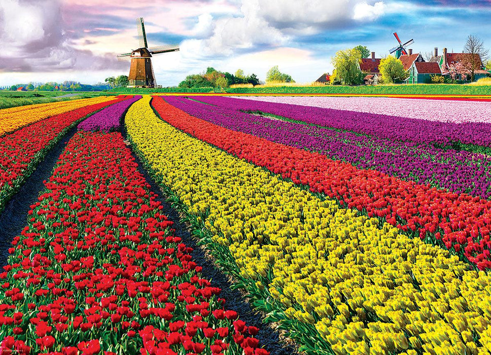 Eurographics - Tulip Fields Netherlands (1000-Piece Puzzle)