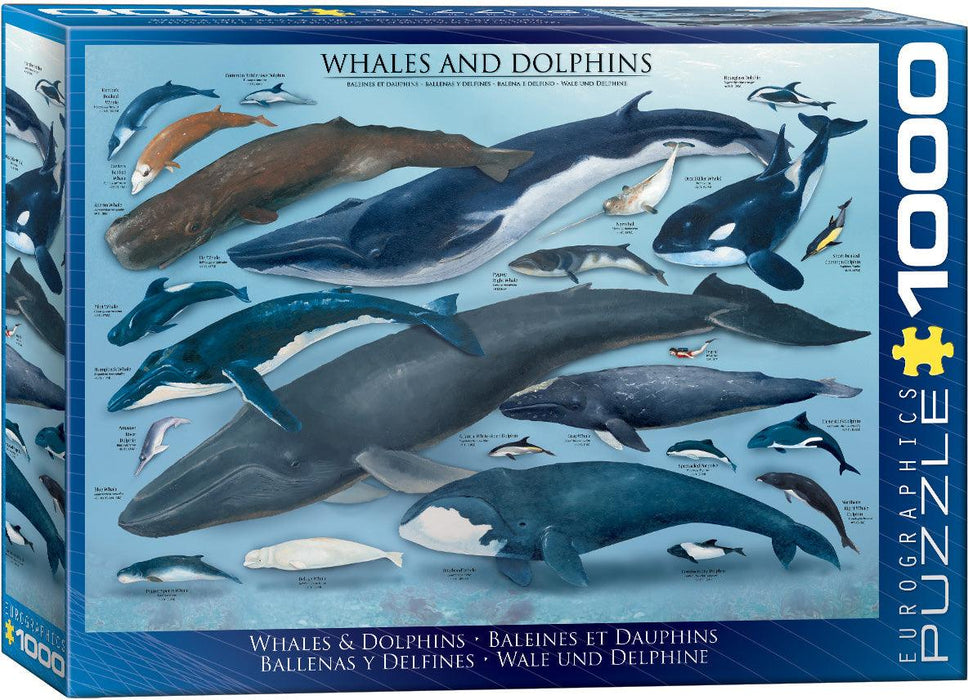 Eurographics - Whales & Dolphins (1000-Piece Puzzle)