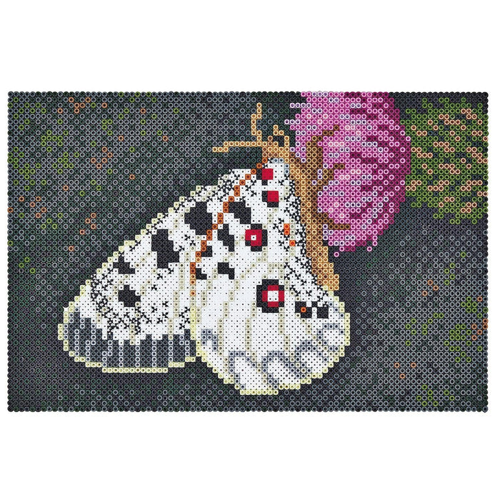 Hama - Hama Art - Butterfly - Limolin 