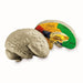 Learning Resources - Cross - Section Human Brain Model - Limolin 