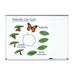 Learning Resources - Giant Magnetic Butterfly Life Cycle - Limolin 
