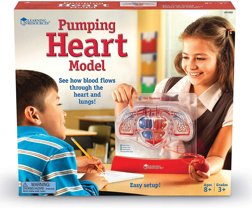 Learning Resources - Pumping Heart Model - Limolin 