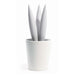 Legnoart - Cereus Trivet with porcelain bowl - White - Limolin 