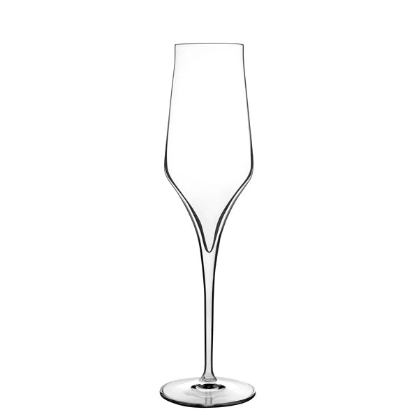 Luigi Bormioli - Supremo - 8 oz Champagne Glasses (Set Of 2) - Limolin 