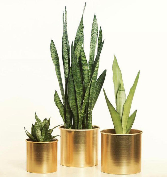 LXPRIMO - Modern Anti Rust Metal Vase Set of Three - Limolin 