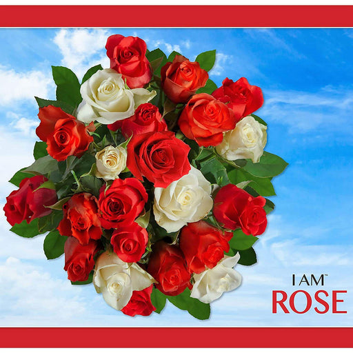 Madd Capp Puzzles - I Am Rose (350-Piece Puzzle) - Limolin 