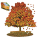 Madd Capp Puzzles - I AM Sugar Maple (1000 pc)