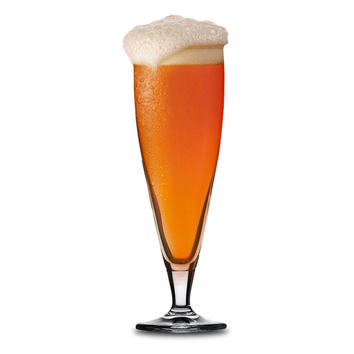Masterbrew - Classic Beer Glass - Limolin 