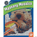 Mindware - Color by Number - Mystery Mosaics - Book 5 - Limolin 