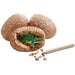 Mindware - Dig It Up! Dinosaur Eggs toy - Limolin 