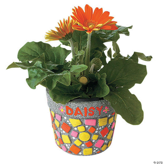 Mindware - Paint - Your - Own Stone - Flower Pot - Limolin 