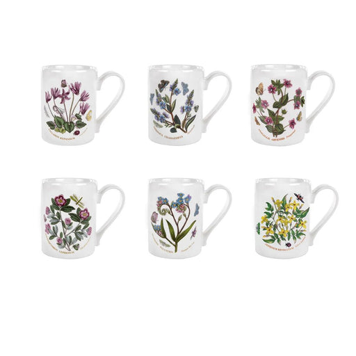 Portmeirion - Botanic Garden Coffee Mugs (Set of 6) | 9 oz