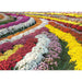 Prestige - Chrysanthemum Garden (1000-Piece Puzzle) - Limolin 