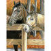 ROYAL - Colour Pencil Set - Horse and Puppy - Limolin 