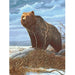 ROYAL - EGRVart Grizzly Bears - Limolin 