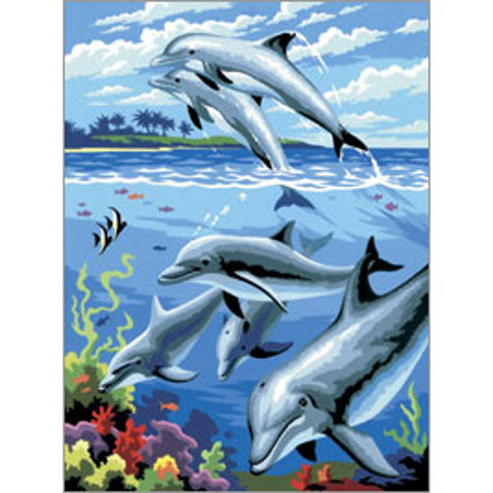 ROYAL - PBN Dolphins - Limolin 
