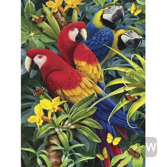 ROYAL - PBN Majestic Macaws - Limolin 