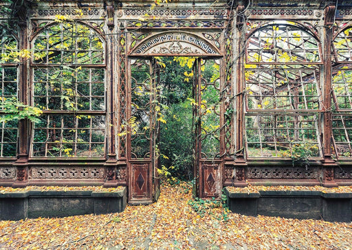 Schmidt - Arched Windows Overgrown With Vegetation (1000-Piece Puzzle)