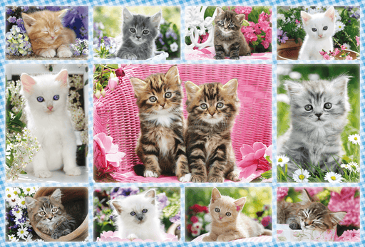 Schmidt - Kittens (100-Piece Puzzle)