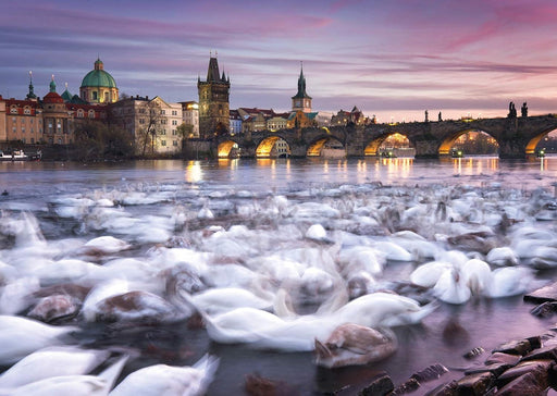Schmidt - Swans In Prague - Christian Ringes (1000-Piece Puzzle)