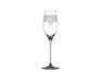 Spiegelau - ARABESQUE - Champagne (Set of 2) | 10 oz