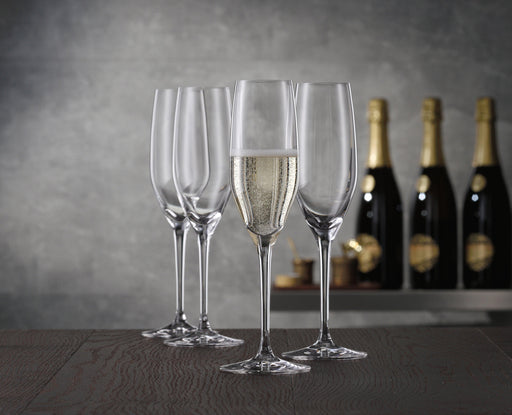 Spiegelau - AUTHENTIS - Champagne Flute (Set of 4) | 6 oz