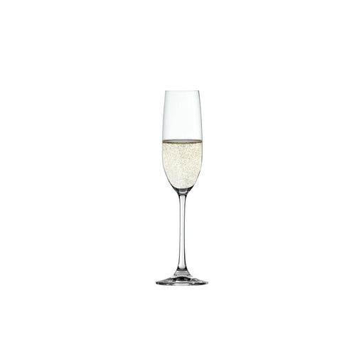 Spiegelau - Salute Champagne (Set of 4) - 7.41oz - Limolin 