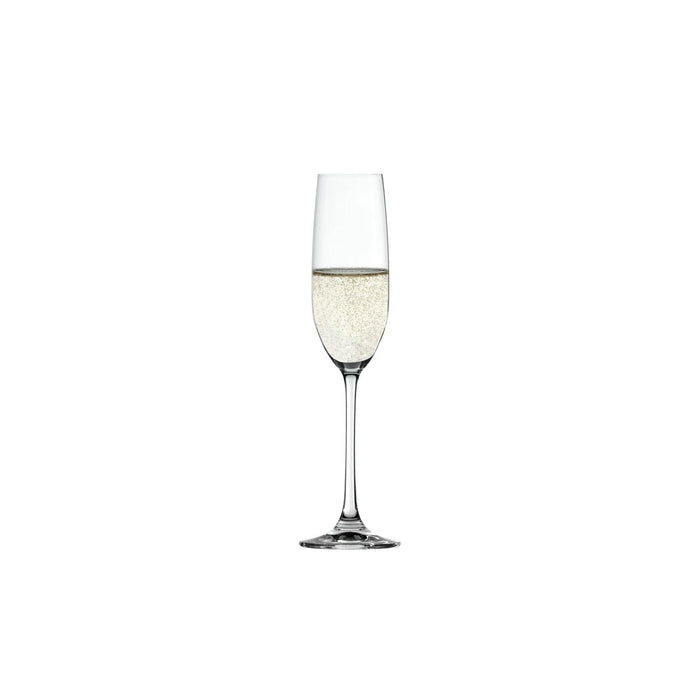 Spiegelau - Salute Champagne (Set of 4) - 7.41oz - Limolin 