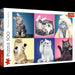 Trefl - Kittens (500-Piece Puzzle) - Limolin 