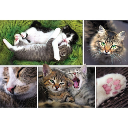 Trefl - Montage Cats (1500-Piece Puzzle) - Limolin 