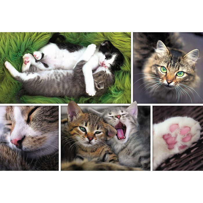 Trefl - Montage Cats (1500-Piece Puzzle) - Limolin 