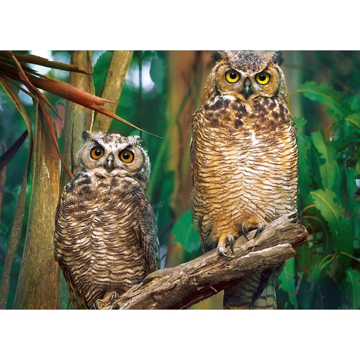 Trefl - Night Owls (1000-Piece Puzzle) - Limolin 