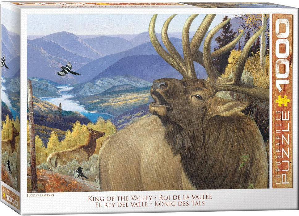 Eurographics - King of the Valley by Hayden Lambson (1000pc Puzzle)