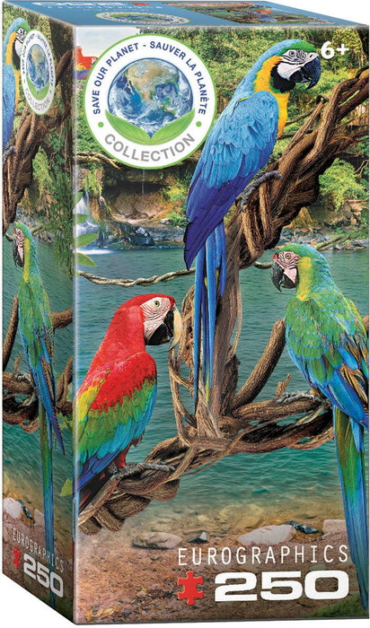 Eurographics - Macaws (250 Piece Puzzles)