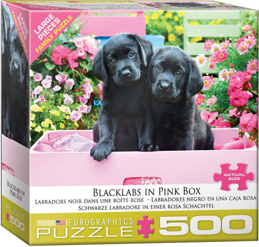 Eurographics - Black Labs in Pink Box (500 pc - Large Puzzle Pieces)